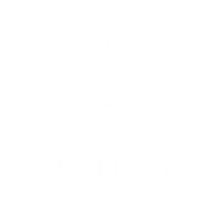 Velvi Bags